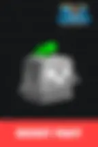 Rocket Fruit